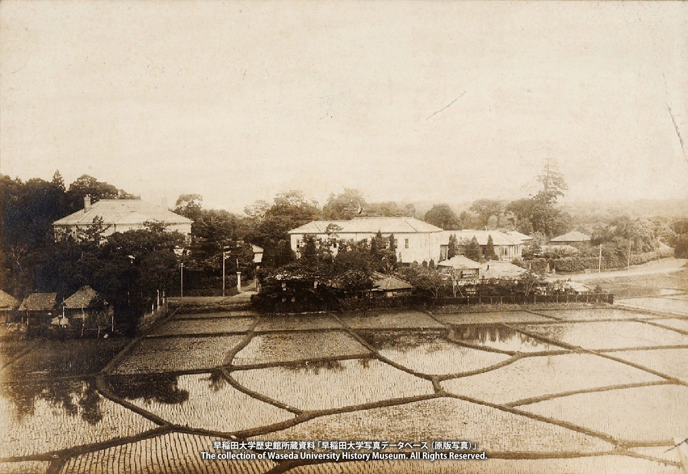 早稲田大学歴史館所蔵資料「早稲田大学写真データベース（原版写真）」